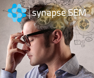 Synapse SEM