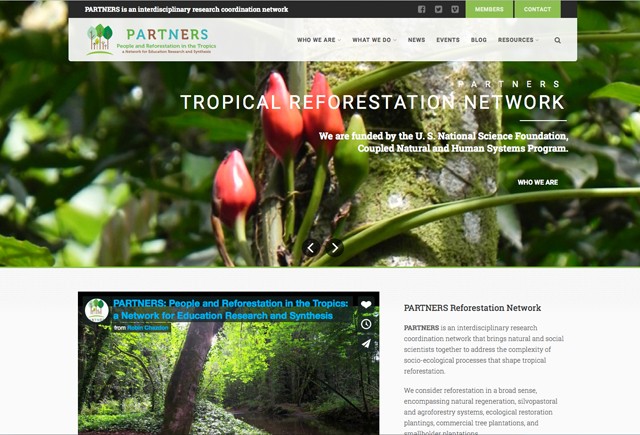 Reforestation in the tropics